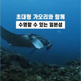 韓国人ツアー！海人石垣島の画像
