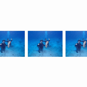 石垣島ダイビング！海人石垣島の画像