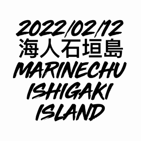 体験ダイビング！海人石垣島の画像