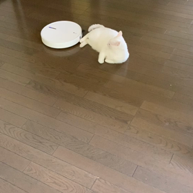 掃除日和の画像