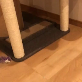 アベノミクスで始まりアベノマスクで終るお粗末なアベノ政権！の画像