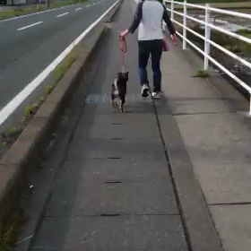 合宿7日目の画像