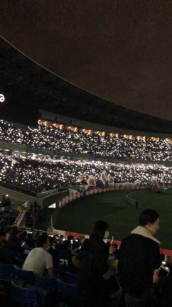 サッカー観戦！の記事動画