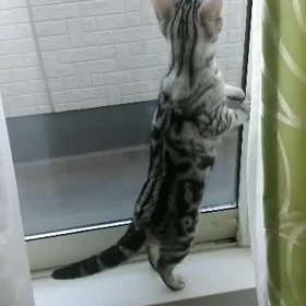 我が家の姫の画像