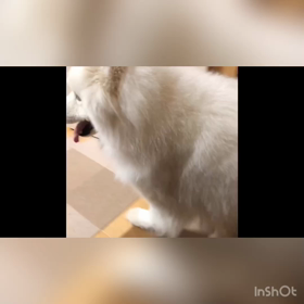 どーしてもイヤ‼︎‼︎の画像