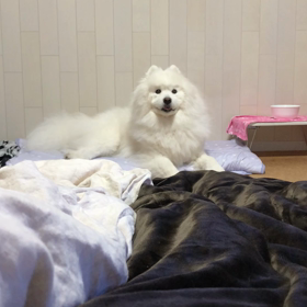 始まる前に終わったGWの画像