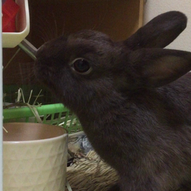 急いで そーっと ( ´ ▽ ` )ﾉの画像