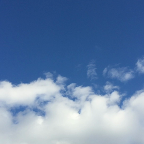 トロールの画像