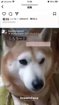 ガマンし過ぎ！の記事動画