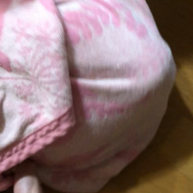 うちの王子の画像