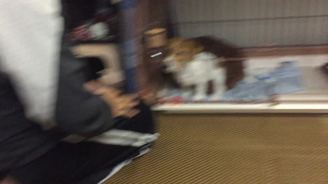 のすけ！！の記事動画