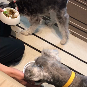 当たり前の日常　食事編の画像