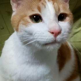 欲しい～!!!!の画像