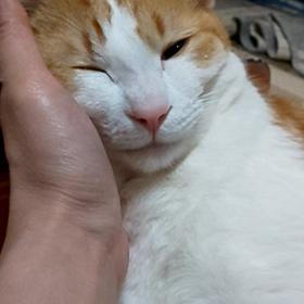 手枕の画像