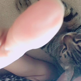 だらり。の画像