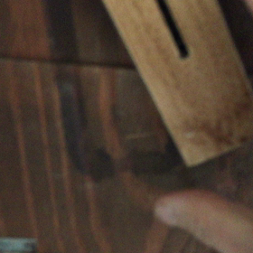 ムラクモインコの卵の画像