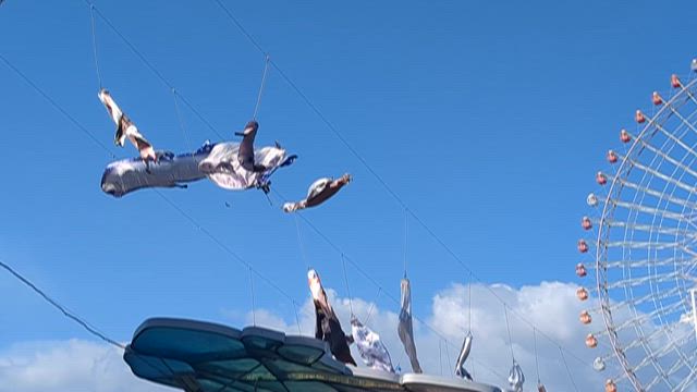 海遊館のこいのぼりの記事動画