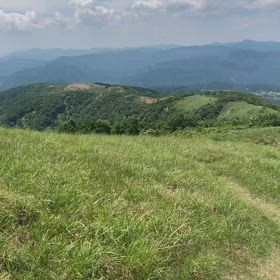2026.6.13 福井県 三十三間山にての画像
