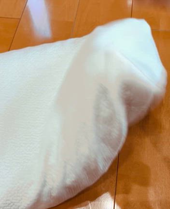 「ヒツジのいらない枕」を買ってみたの記事動画