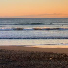 1月31日千葉北、東浪見の朝の波の画像