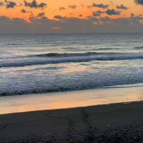 1月29日千葉北、東浪見の朝の波の画像