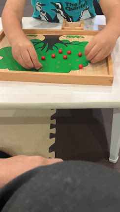 りんごの木【モンテッソーリ】の記事動画