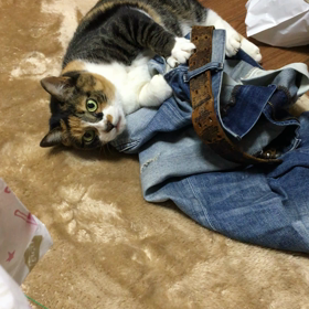 興奮しすぎなの画像
