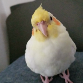 自分自身を赦す事の画像