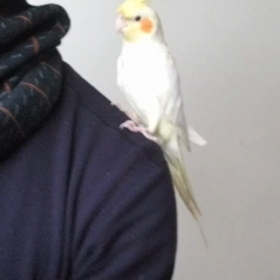 断酒SNSの一部の人間にウンザリ(´Д｀)の画像