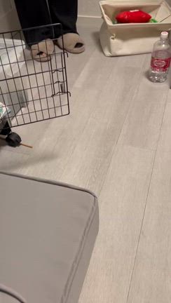愛しのノノの記事動画