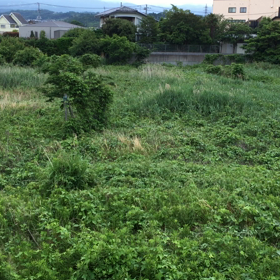 心地よい目覚め(๑˃̵ᴗ˂̵)♡の画像