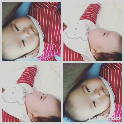 Instagramはじめます！の記事動画