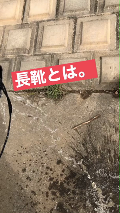 day2…の記事動画