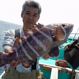生きイワシ10月マハタ釣り専門ご予約お待ちしてますの画像