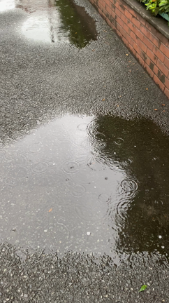 雨の日。の記事動画