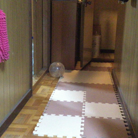 今日も遊んでるよの画像