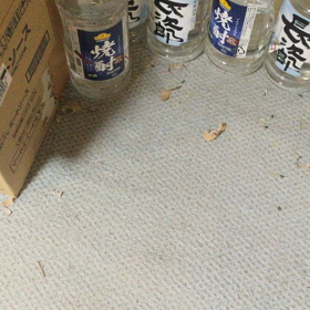 悪さするレイの画像