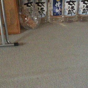 新しい遊び‼️の画像