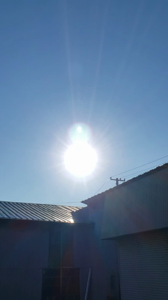 すべて方へ見てほしい太陽☀️です‼️の記事動画