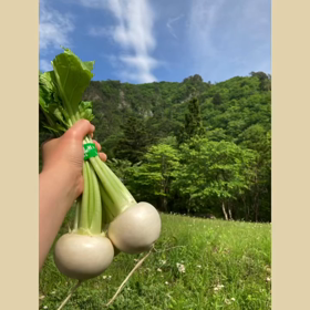 2021.5.26  テレ東で放送される予定です。の画像