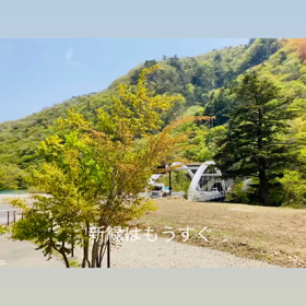 雨上がりはグンと緑が増すんですよ〜の画像