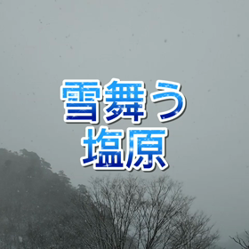 12月16日(水) 雪が舞っていますの画像