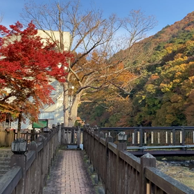 2021.11.02 塩原温泉 紅葉の画像