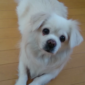 5/28(木)…お食事の作法の画像