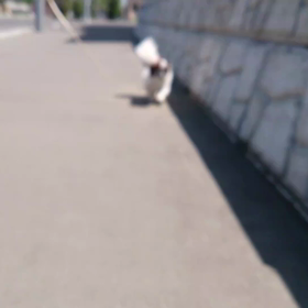 5/11(月)‥母です。の画像
