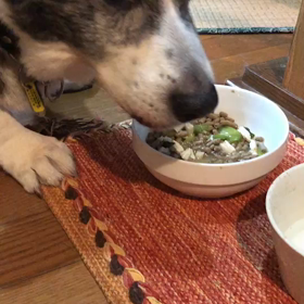 小達くん、ご飯完食(o^^o)の画像