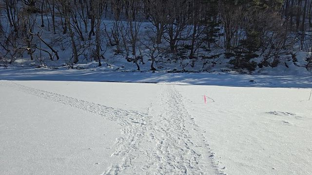 疾風Xプロト穂先最終確認!!の記事動画