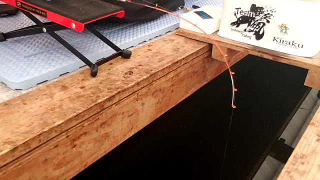 疾風「虎雅」-TAIGA- 新穂先発表!! | ワカサギ電動リール 疾風