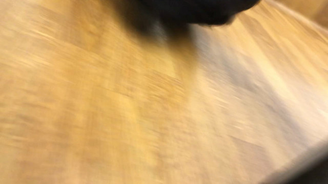 ブログをまたサボってました(´･ω･`)の記事動画