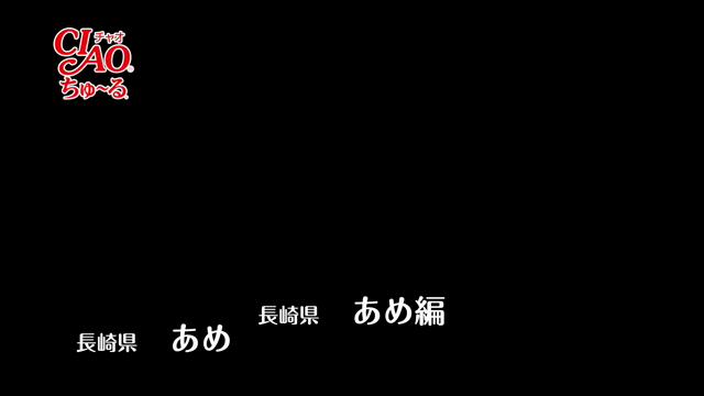 あめさんの初。の記事動画